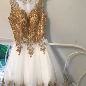 Prom / Graduation Dress